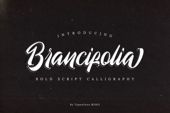 Brancifolia: A Bold Script Font for Web Design