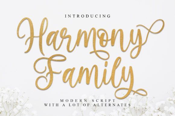 Harmony Family: A Beautiful Font for Your Brand