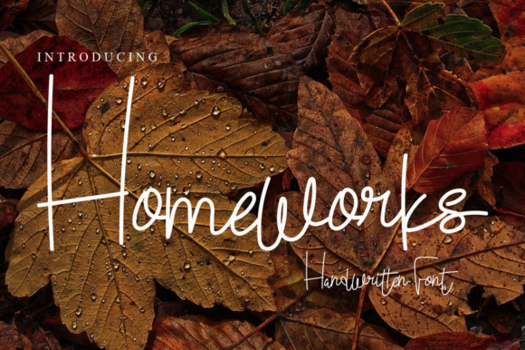 Homeworks: A Delicate Script Font for Business