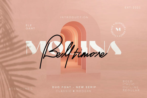 Molina: A Font for Business Brilliance