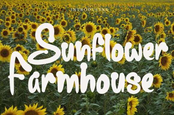Sunflower Farmhouse: A Fresh Font for Small Business